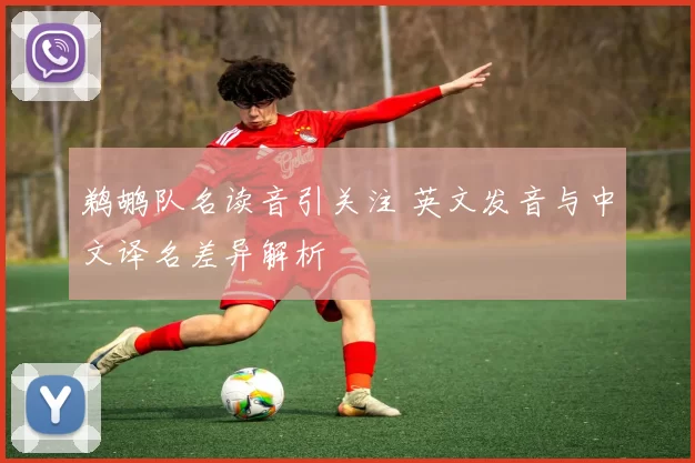 鹈鹕队名读音引关注 英文发音与中文译名差异解析