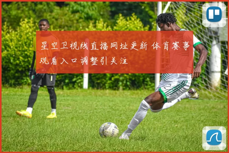 星空卫视线直播网址更新 体育赛事观看入口调整引关注