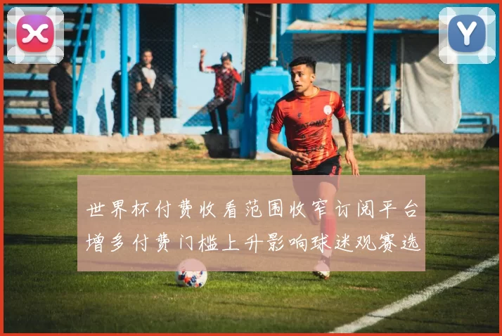 世界杯付费收看范围收窄订阅平台增多付费门槛上升影响球迷观赛选择